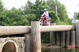 "Liều mình" qua cầu tạm làm bằng cọc nhồi bê tông