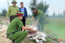 Thạch Hà thu giữ 2.665 chim mồi giả