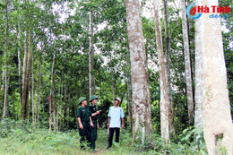 Nơi cuộc sống hồi sinh