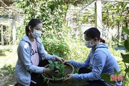 Người dân vùng phong tỏa ở Hà Tĩnh bình tĩnh ứng phó với tình hình dịch bệnh COVID-19