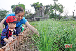 Khởi nguồn yêu thương từ khu vườn của mẹ