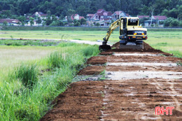 Ai nói trồng lúa không giàu, hãy đến xem mô hình này ở Nghi Xuân