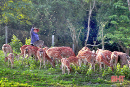 Nghe “tỷ phú chân đất” ở Hà Tĩnh kể chuyện làm giàu