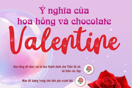 Ý nghĩa của hoa hồng và chocolate ngày Valentine [Infographics]