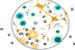 Cỗ máy siêu nhỏ đoạt giải Nobel hóa học có thể tìm diệt tế bào ung thư