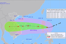 Xây dựng phương án cụ thể, chủ động ứng phó với siêu bão Noru