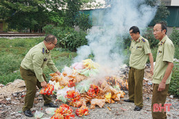 Thu giữ, tiêu hủy nhiều đồ chơi, bánh kẹo không rõ nguồn gốc ở Hương Khê