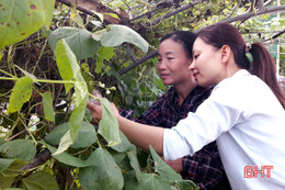 Thạch Châu kiên trì xây dựng đội ngũ, gần 80% cán bộ có trình độ đại học