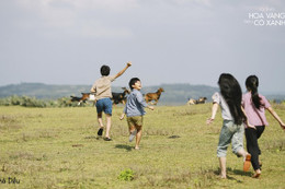 “Tôi thấy hoa vàng trên cỏ xanh” được chọn dự Oscar 2016