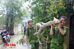 Khẩn trương khắc phục hậu quả, không để người dân nào thiếu đói