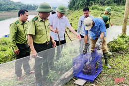 Thả 56 cá thể động vật hoang dã về “Vườn Di sản ASEAN” tại Hà Tĩnh