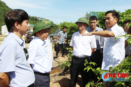 Xây dựng các chuỗi sản phẩm đồng nhất, chất lượng, liên kết đầu ra