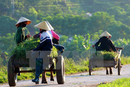 Tăng sự lãnh đạo của Đảng với xây dựng NTM, đô thị văn minh