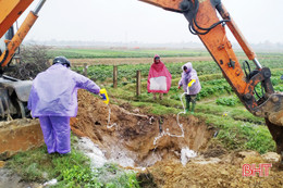 Lộc Hà có thêm 3 con bê bị chết vì bệnh viêm da nổi cục