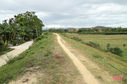 Đê Tân Long “mong manh” trước mùa mưa bão