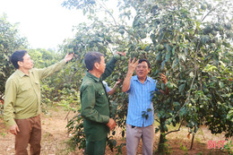 Người cựu binh góp phần làm tỏa sáng thêm phẩm chất “Bộ đội Cụ Hồ” trong thời bình