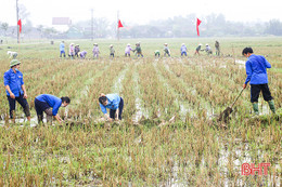 Phá bờ thửa nhỏ, hình thành ô thửa lớn ở vựa lúa huyện Đức Thọ