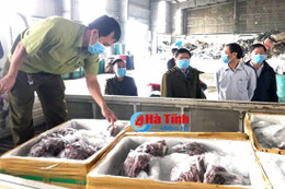 Tiêu hủy 218 kg chim én không rõ nguồn gốc được thuê chở vào Nam tiêu thụ