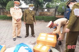 Bắt xe ô tô vận chuyển hơn 5 tấn thực phẩm không rõ nguồn gốc qua Hà Tĩnh