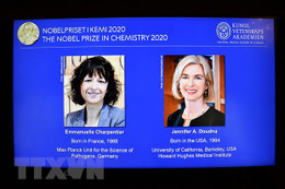 Giải Nobel Hóa học 2020 vinh danh 2 nhà khoa học người Pháp và Mỹ