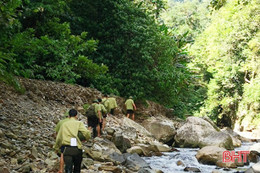 Trực chiến ngăn chặn lâm tặc và "giặc lửa"