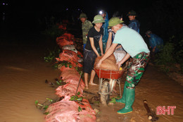 Hàng trăm người dân Thượng Lộc đắp đê trong đêm, ngăn nước thượng nguồn gây ngập lụt