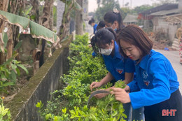 Tuổi trẻ Hà Tĩnh đồng loạt ra quân hưởng ứng Tháng Thanh niên