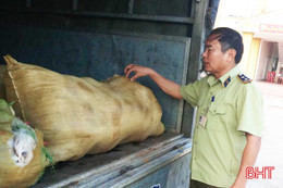 Phát hiện hơn 300 kg da lợn trên xe tải không rõ nguồn gốc