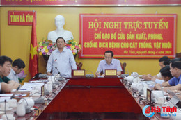 Không được chủ quan trong phòng chống dịch hại trên cây trồng, vật nuôi