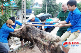 Quyết liệt, hiệu quả trong xây dựng, chỉnh đốn Đảng