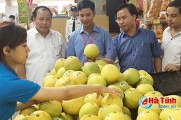 Tiên phong đưa đặc sản Hà Tĩnh vào chuỗi siêu thị Vinmart