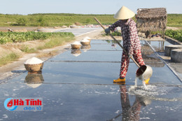 Nắng quay quắt, diêm dân Hộ Độ "phơi mình" trên đồng muối