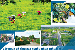 Hà Tĩnh ban hành chính sách hỗ trợ xây dựng tỉnh nông thôn mới