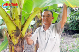 Những thương binh “miệng nói, tay làm”