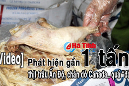 [VIDEO] Phát hiện gần 1 tấn thịt trâu Ấn Độ, chân giò Canada… quá “đát”