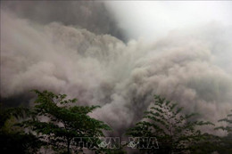 Indonesia: Núi lửa Semeru tiếp tục phun trào, cản trở hoạt động cứu hộ