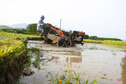 Nông dân Hà Tĩnh đẩy nhanh tiến độ gieo cấy, đảm bảo lịch thời vụ