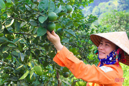 Chủ tịch nước tặng Huân chương Lao động hạng Ba cho huyện Vũ Quang về thành tích xây dựng nông thôn mới