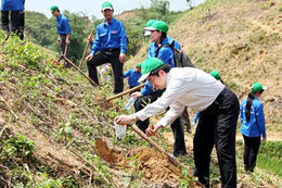 Giảm phát thải từ phá rừng và suy thoái rừng