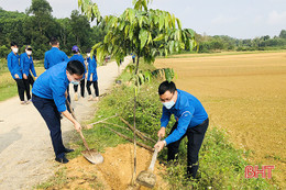 Hơn 60 tổ chức, đơn vị đỡ đầu, tài trợ 8 xã ở Hương Khê chưa đạt chuẩn nông thôn mới