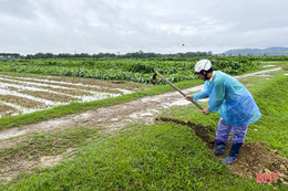 Đề nghị các địa phương ở Hà Tĩnh chủ động ứng phó với thiên tai