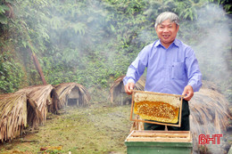 "Còn khỏe, tôi còn dạy nuôi ong và bảo vệ người khuyết tật"