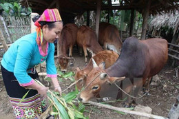 Phó Thủ tướng Vương Đình Huệ phát động nhắn tin ủng hộ người nghèo