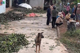 Nóng: Thanh niên Thái Nguyên cầm dao truy sát khiến 5 người tử vong