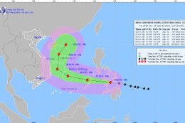 Chủ động các phương án ứng phó với bão gần trên biển Đông