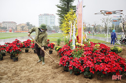 Tô sắc xuân cho phố phường Hà Tĩnh