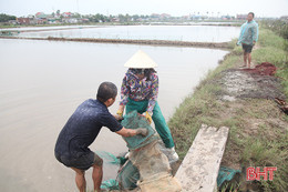 Chủ tịch UBND tỉnh Hà Tĩnh ban hành công điện khẩn ứng phó bão số 7