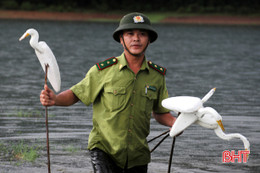 Hà Tĩnh: Ráo riết vào cuộc ngăn nạn đánh bắt chim mùa di cư