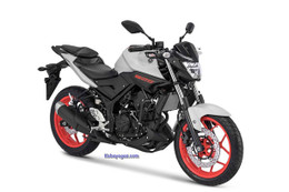 Yamaha MT-25 2018 bổ sung màu mới, giá từ 76 triệu đồng