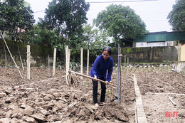 Nông dân Đức Thọ sửa sang lại vườn tược, khôi phục sản xuất